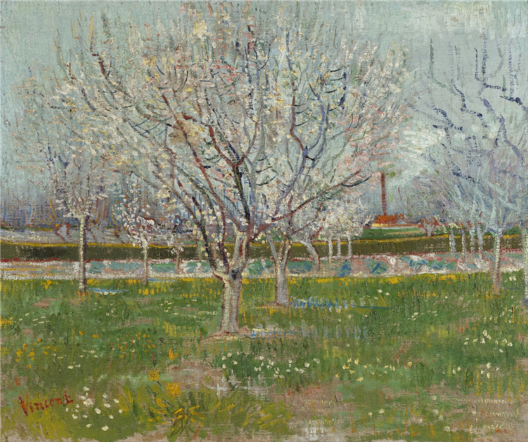 Orchard In Blossom. Plum Trees Van Gogh Oil Painting